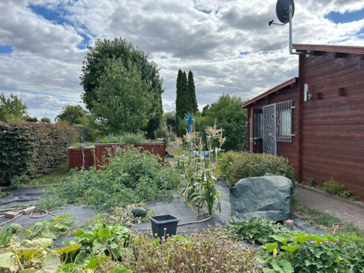 Gartenübersicht mit Laube